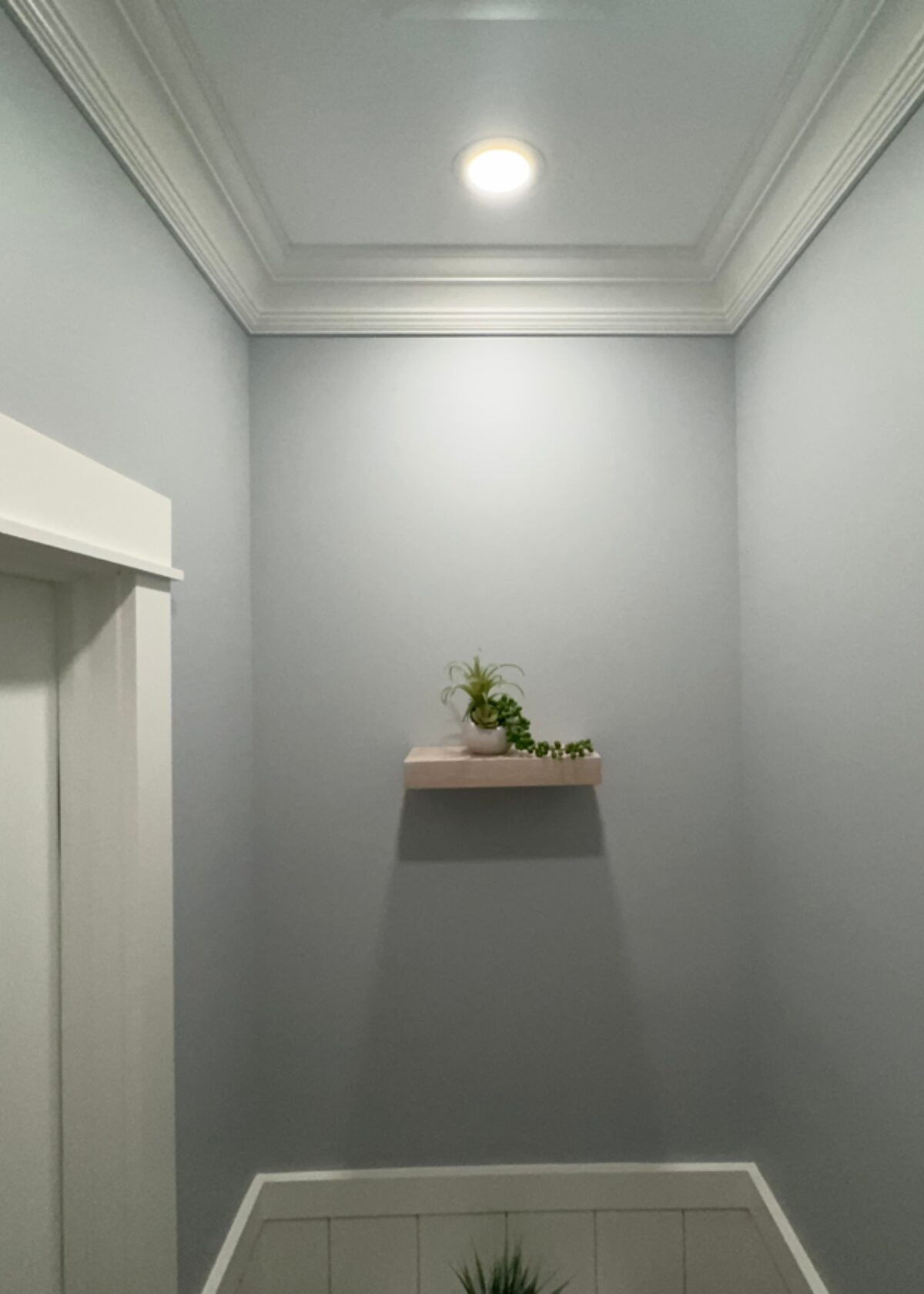 Powder Room Transformation (1)
